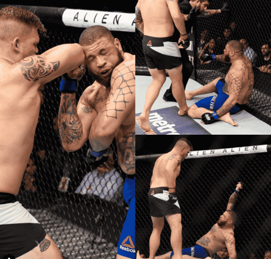 As melhores imagens do UFC 211