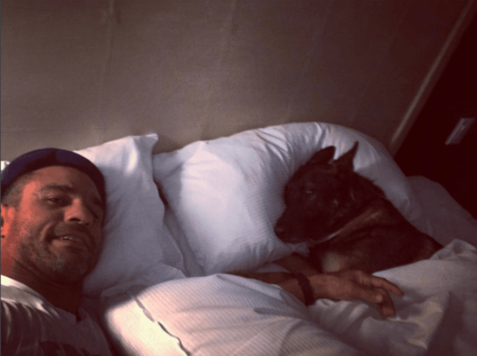 Belfort anuncia chegada para o UFC Rio acompanhado de sua cachorra