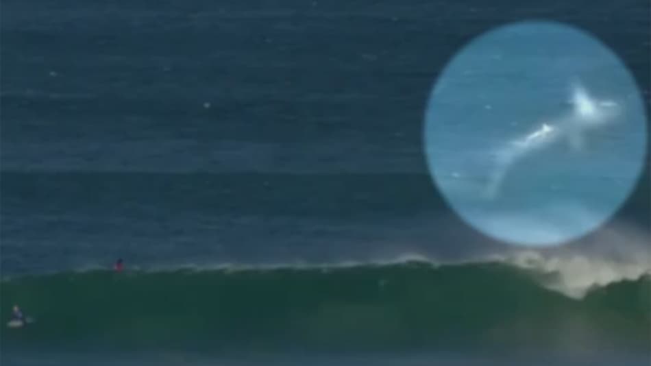 Tubarões paralisam bateria de Filipe Toledo na etapa de Jeffreys Bay
