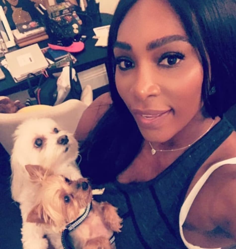 Serena: 'Ser mãe me dará mais força e confiança'