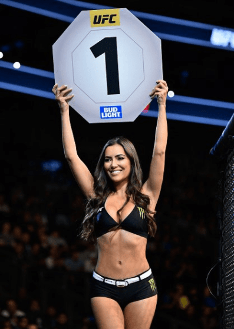 Fotos: ring girls, finalizações e brasileiros agitam o UFC 215