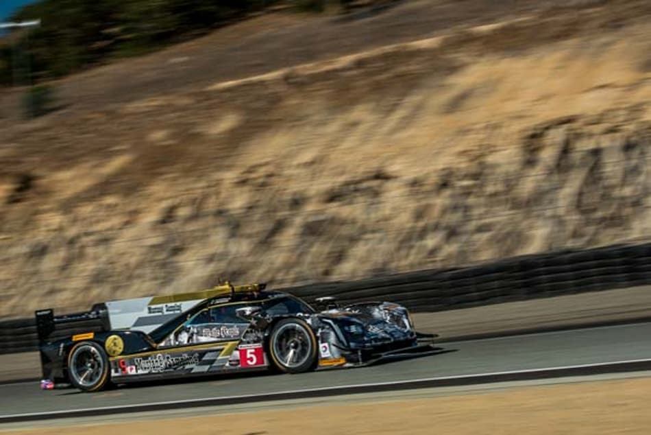 IMSA: Christian Fittipaldi conquista lugar na primeira fila no grid de Laguna Seca