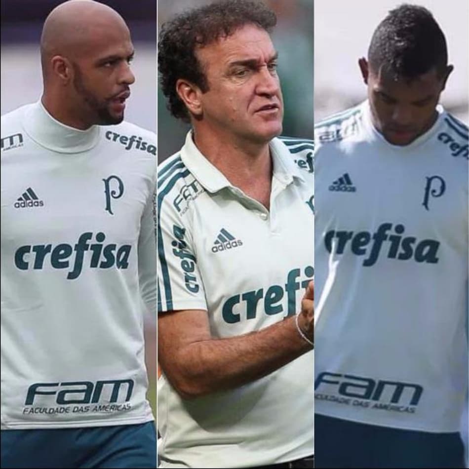 Frustrações e polêmicas: O ano de 2017 do Verdão em 20 imagens