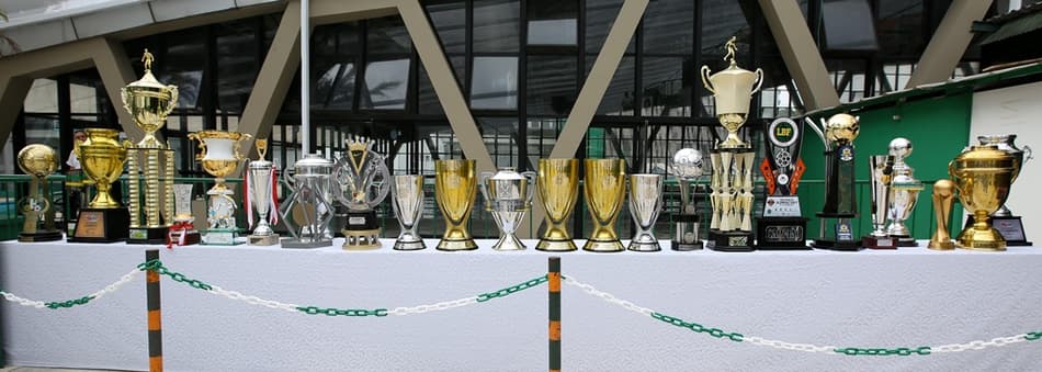 Palmeiras faz festa para comemorar seu ‘melhor ano da história na base’