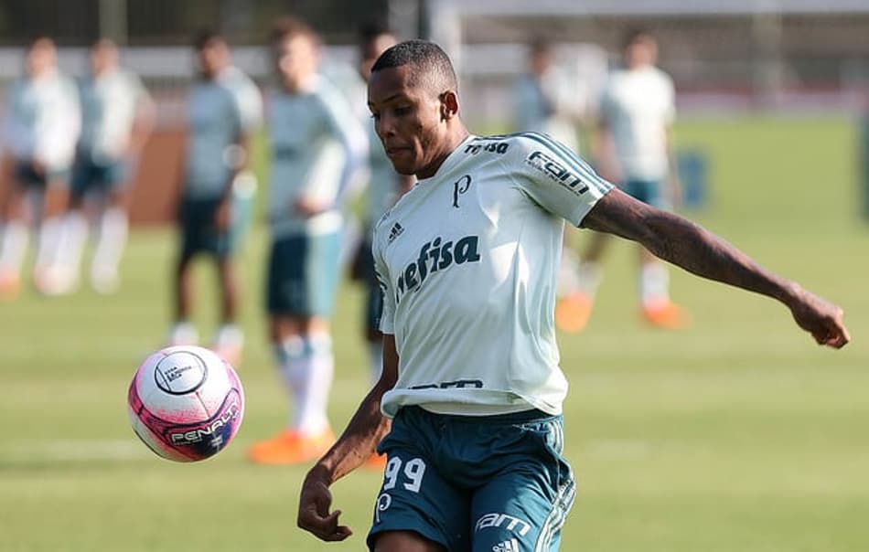 CNH e chances no Palmeiras: os planos de Fernando para 2018