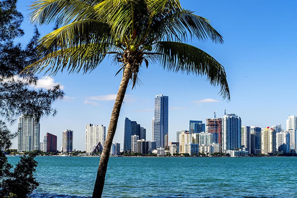 Possível traçado do GP de Miami ganha forma, antes de confirmação da etapa