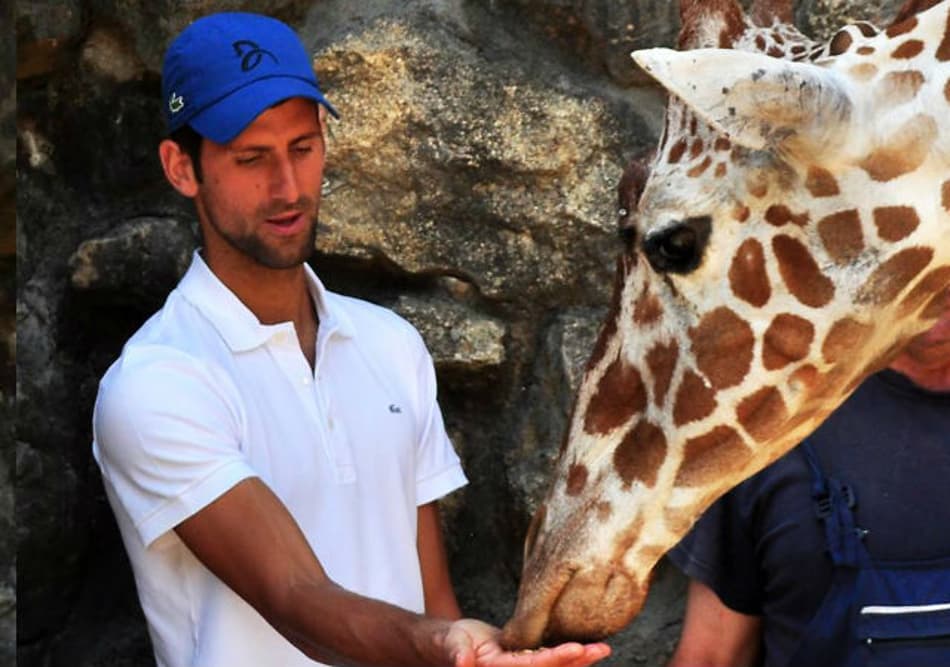 Djokovic visita o zoológico na Sérvia antes de jogar Roma