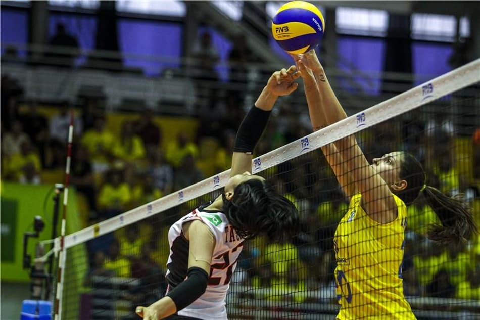 Brasil volei