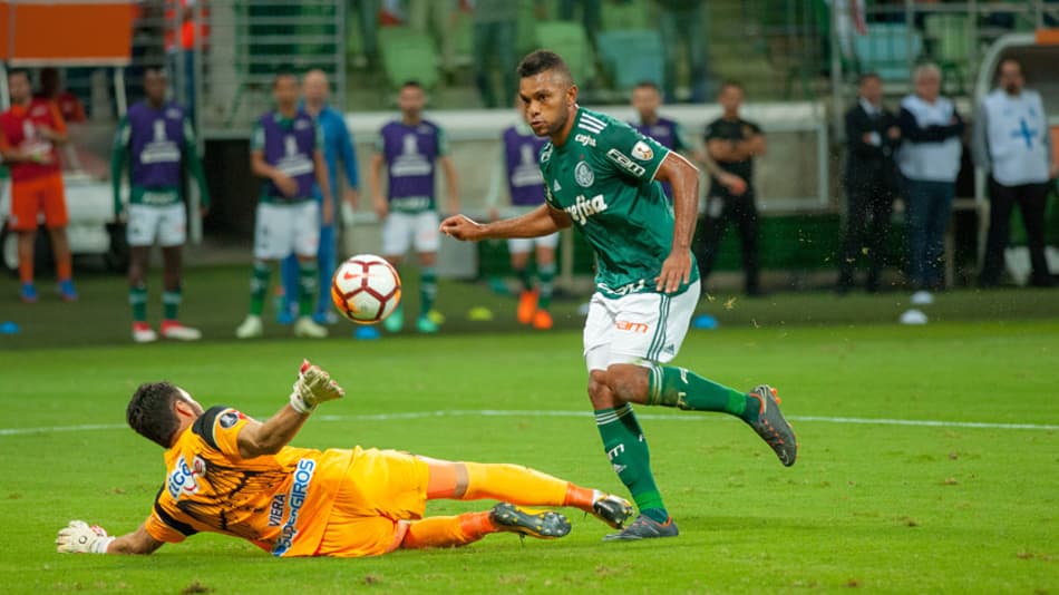 Em alta, Borja tem média de gols superior à de Jesus no Palmeiras