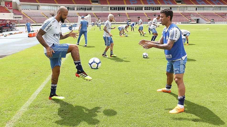 Palmeiras realiza treino tático antes de pegar o Independiente Medellín