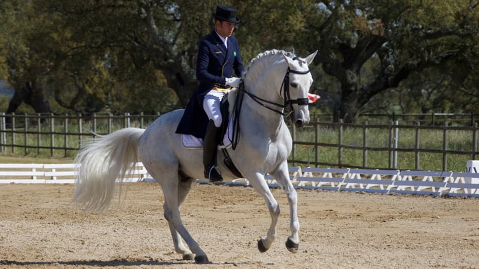 Brasileiros registram novos índices para os Jogos Equestres Mundiais