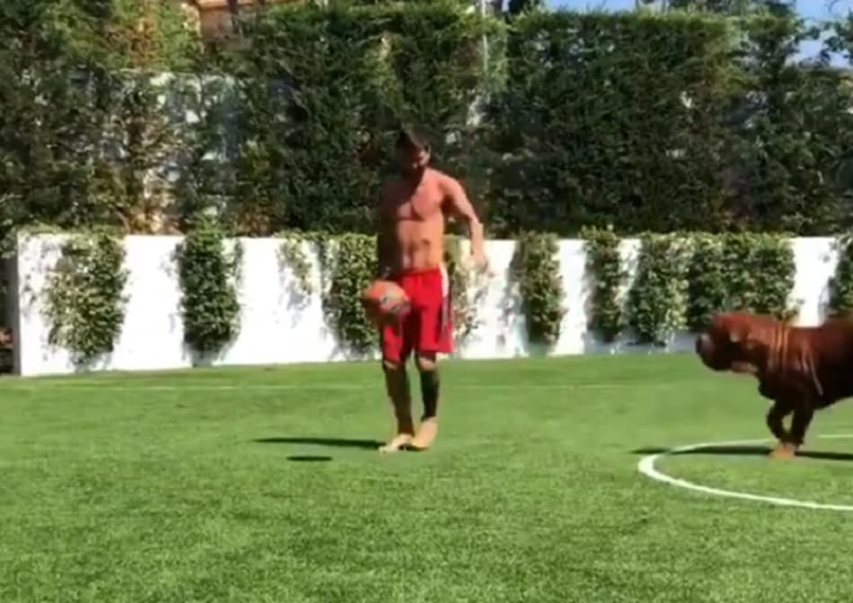 Messi aparece em vídeo "judiando" na habilidade de seu cachorro