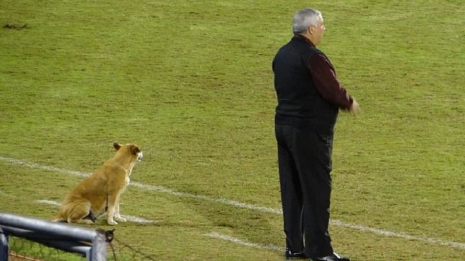 Clube paraguaio conta com uma curiosa "assistente técnica"