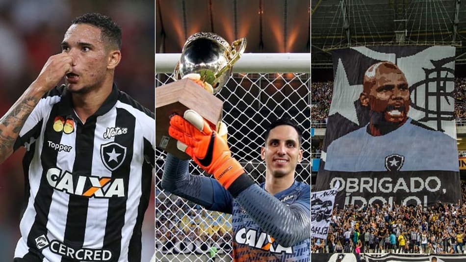 Veja como foi o ano do Botafogo em dez imagens