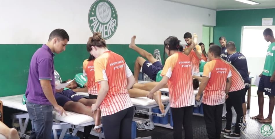 Palmeiras - FAM