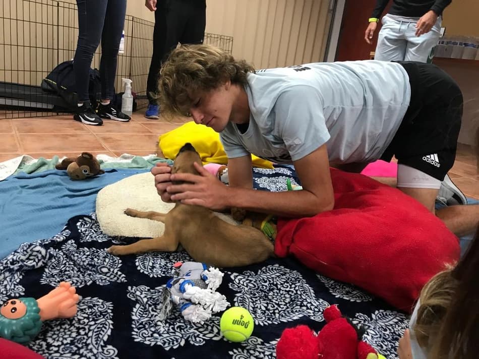 Em visita a ONG protetora de animais, Zverev se emociona e adota novo cachorro