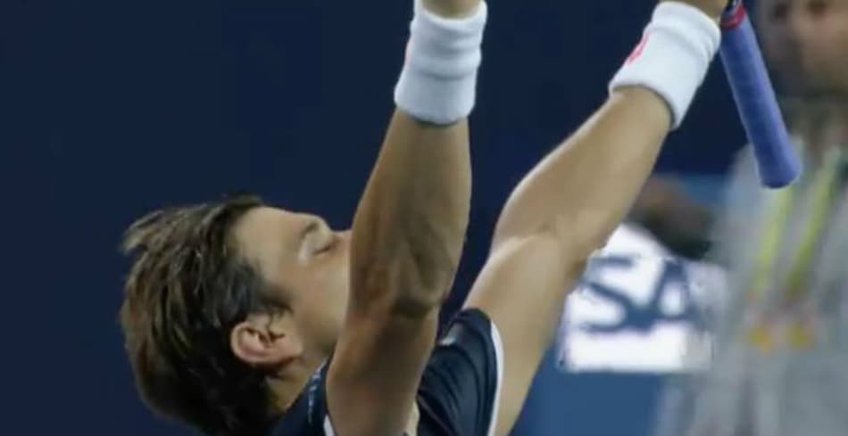 Ferrer avança em Miami e desafia Zverev