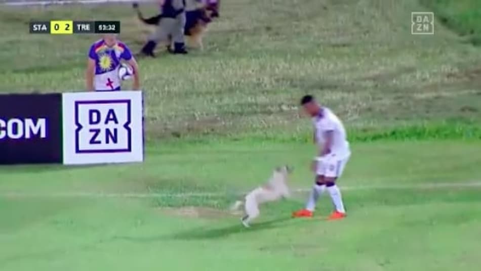 VÍDEO: Cachorro invade gramado e leva torcida ao delírio na Série C