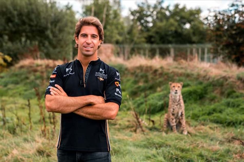 VÍDEO: pilotos da DS Techeetah enviam mensagem sobre conscientização ambiental