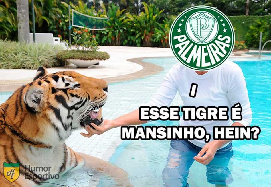 Veja os memes da vitória do Palmeiras na estreia da Libertadores