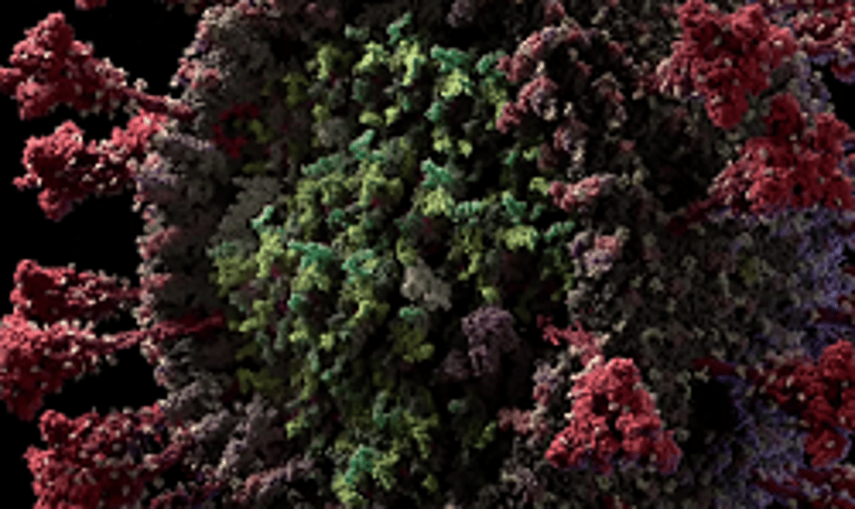 Cameron's Drink: 'Plandemia: a epidemia planejada?'