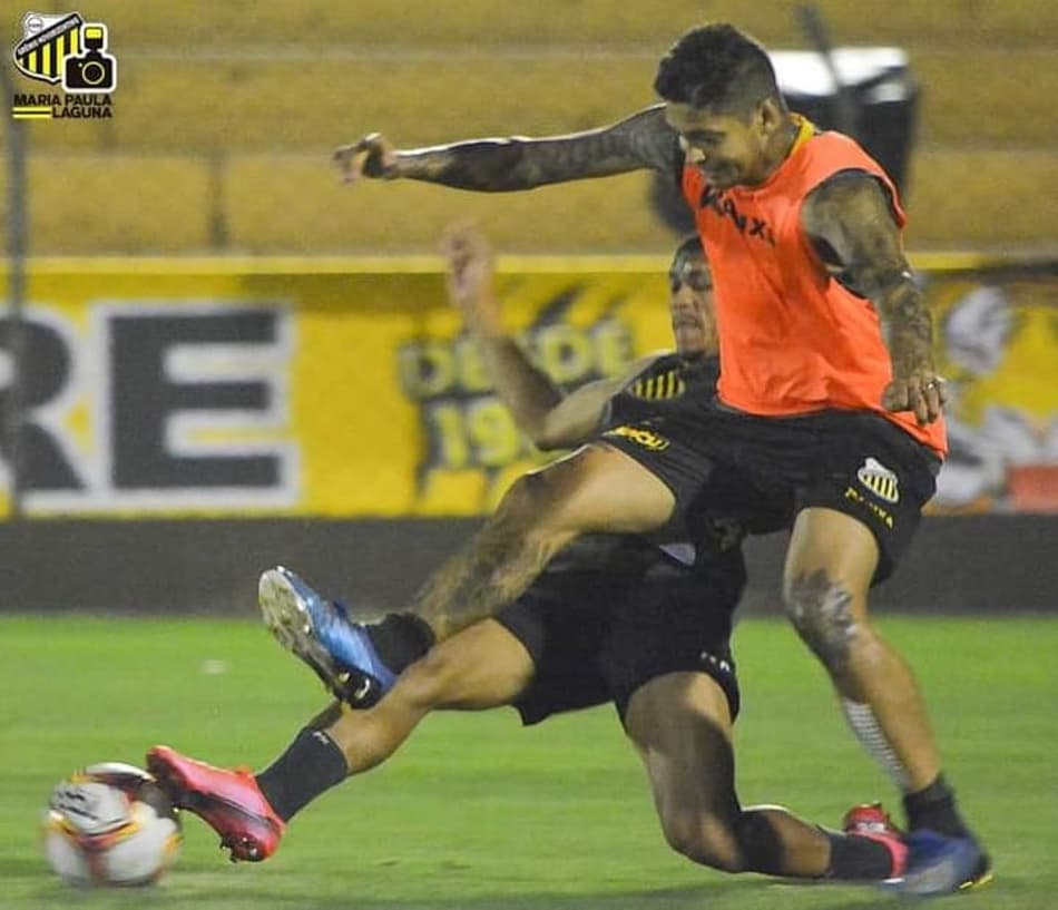 Diogo Sodré comenta adaptação e liderança do Novorizontino na Série D