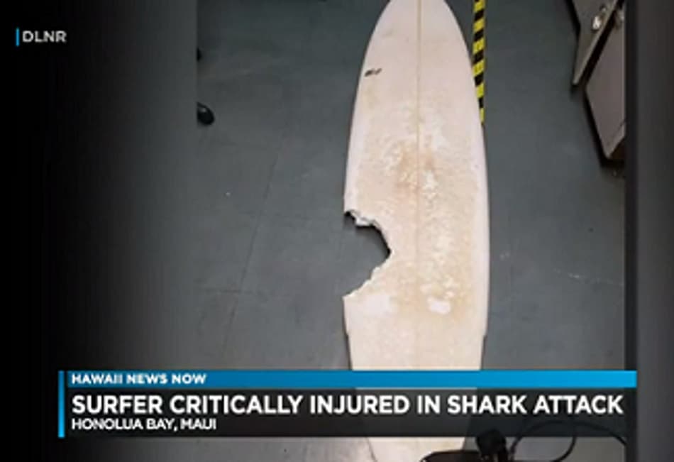Surfista amador atacado por tubarão morre no Havaí, e etapa de abertura do Mundial feminino muda de local