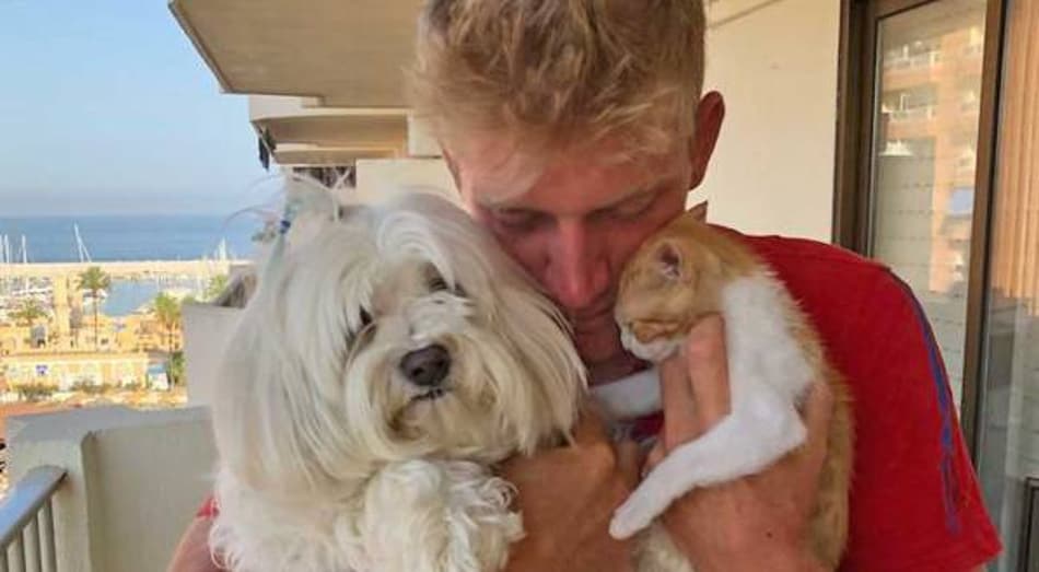 Davidovich Fokina lança plataforma gratuita para adoção de pets na Espanha