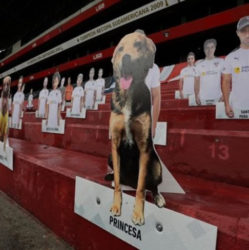 A tradição continua! Cachorro marca presença e ‘assiste’ jogo da Liberta