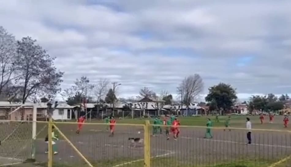 No futebol chileno, cachorro esbanja oportunismo ao marcar bonito gol