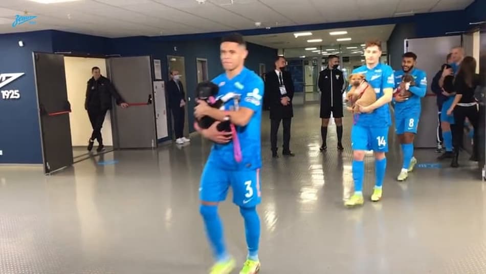 Que fofura! Jogadores do Zenit entram em campo segurando cachorros de abrigo