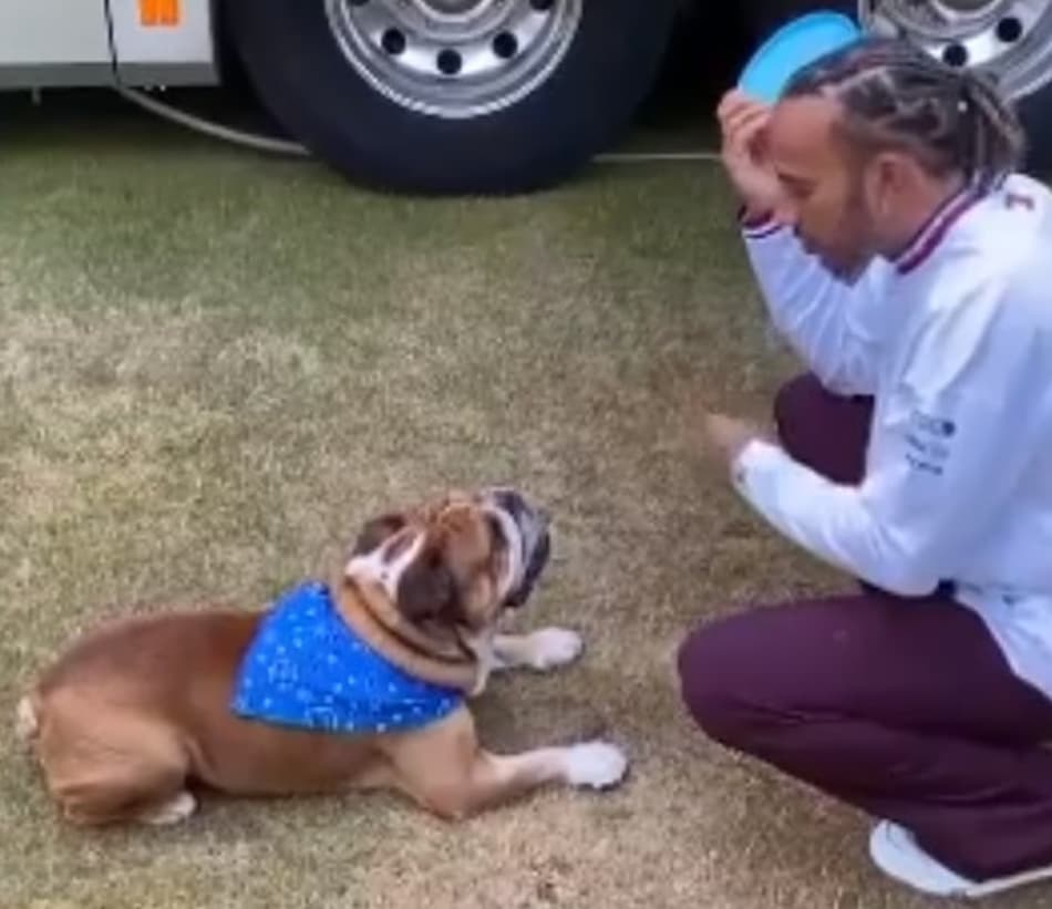 VÍDEO: Adestrador de cão? Hamilton aproveita tempo livre para ensinar truques para o seu cachorro