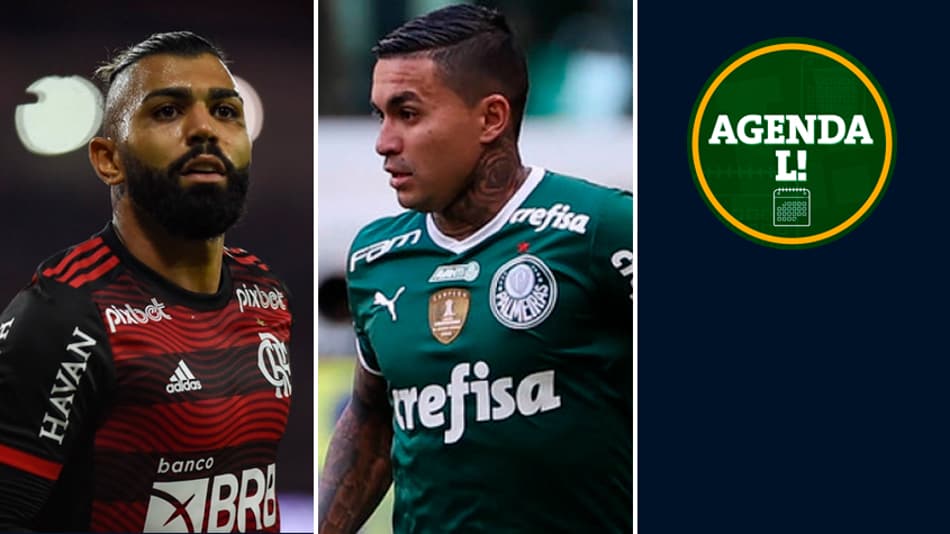 Brasileirão, Série B, Mundial de vôlei… Onde assistir aos eventos esportivos desta quarta