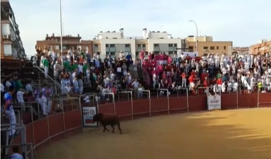 Imagem forte! Homem morre após ser atacado por touro em tourada na Espanha