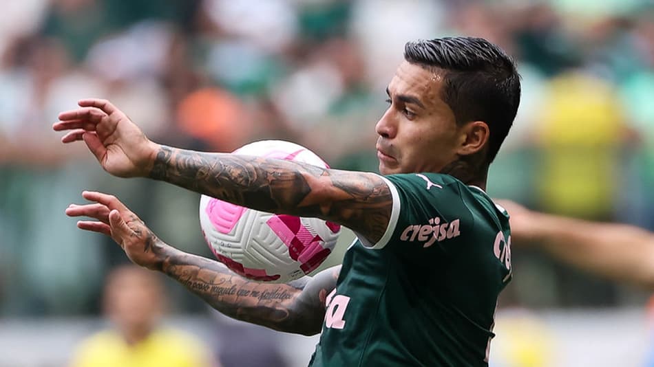 Palmeiras, Boca e mais: Veja quem são os líderes dos torneios nacionais na América