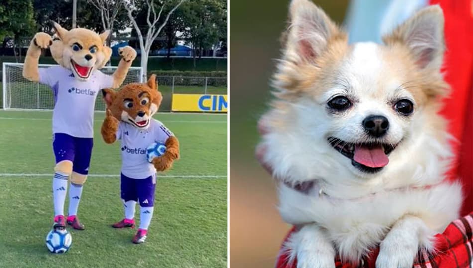 Mudanças em mascotes do Cruzeiro rendem enxurrada de memes na web