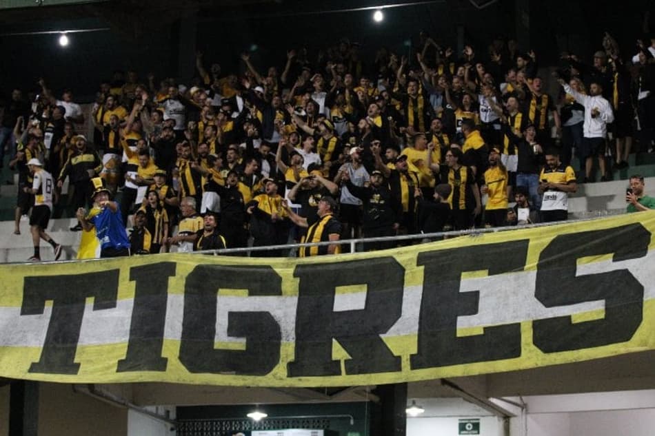 Palpite: Hercílio Luz x Criciúma – Campeonato Catarinense – 29/3/2023