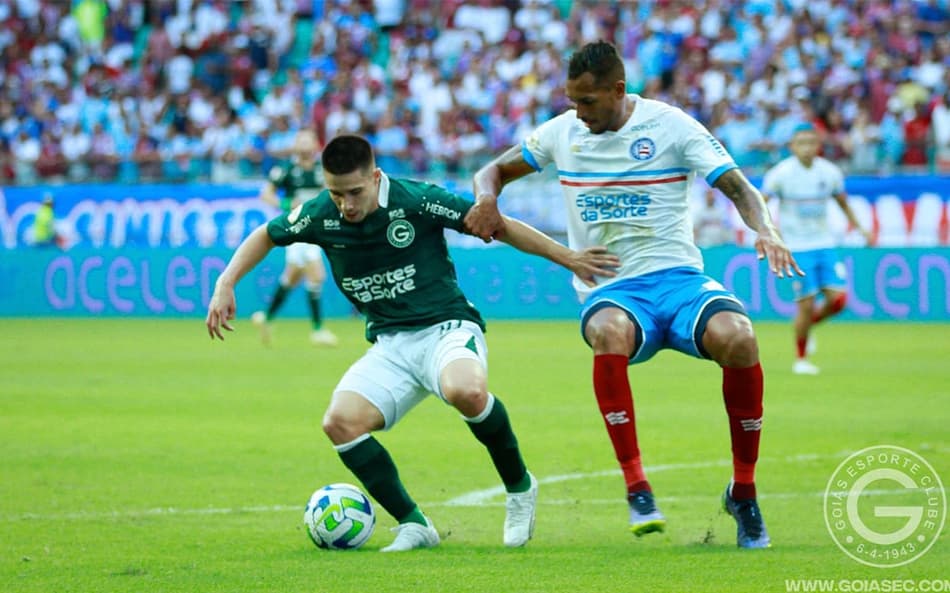 Goiás x Bahia: odds, estatísticas e informações do jogo da 26ª rodada do Brasileirão