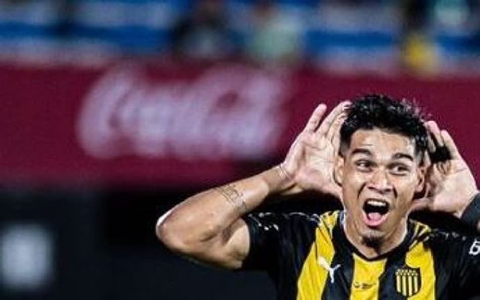 Confira quem já soltou o grito de campeão nacional na América
