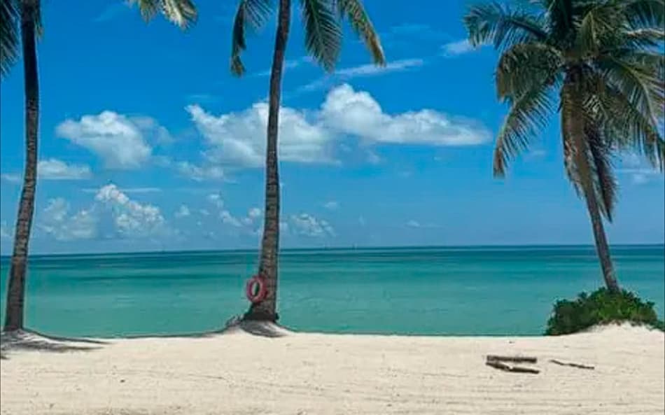 Ex-jogadores e especialista explicam como são as férias dos atletas