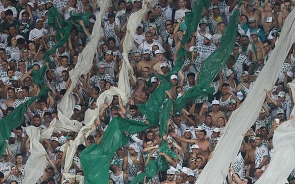 Torcedores do Palmeiras provocam Botafogo com nova música: ‘Só um bairro’