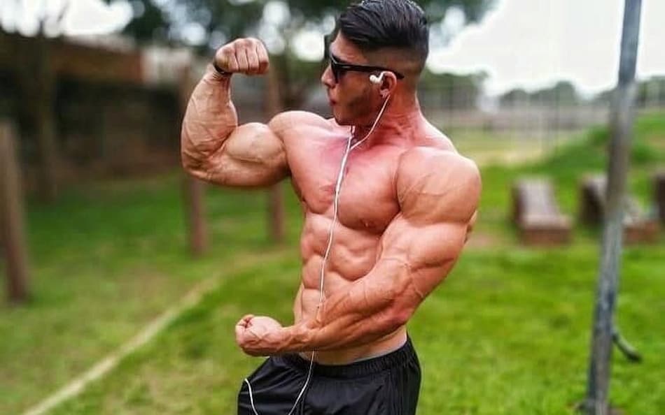 Quem são os brasileiros no Arnold Ohio 2024?