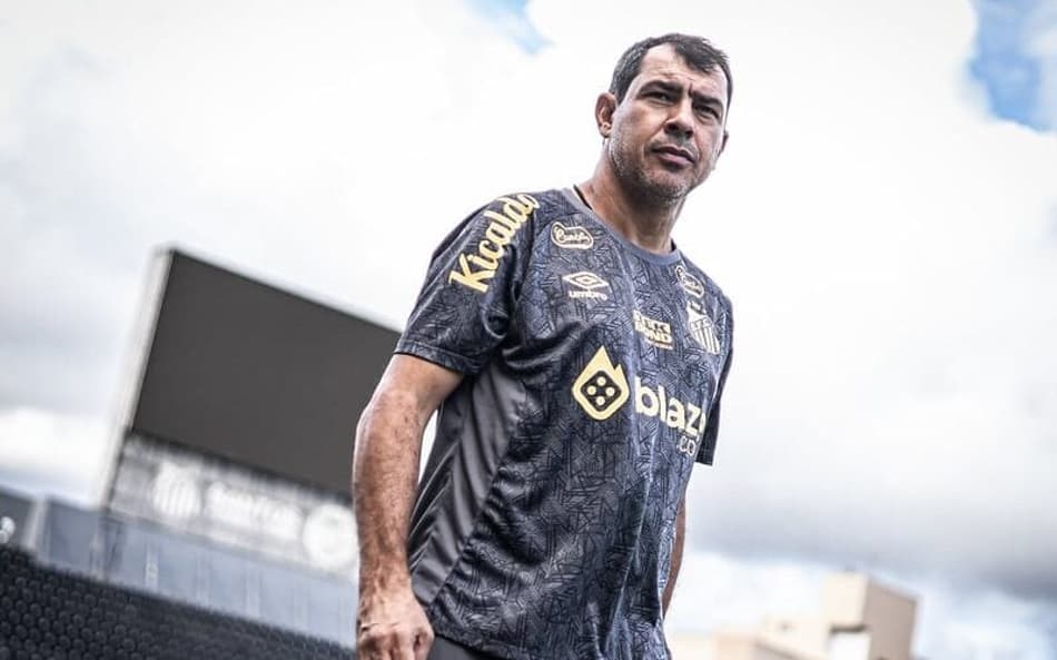Carille admite erro de planejamento do Santos para Série B do Brasileirão