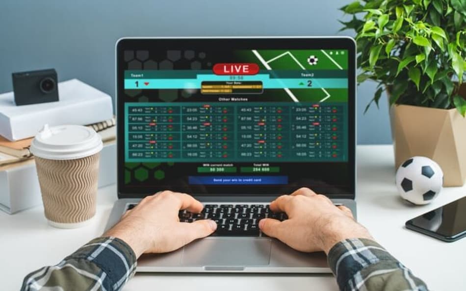 Betsul: bônus, app e odds e apostas