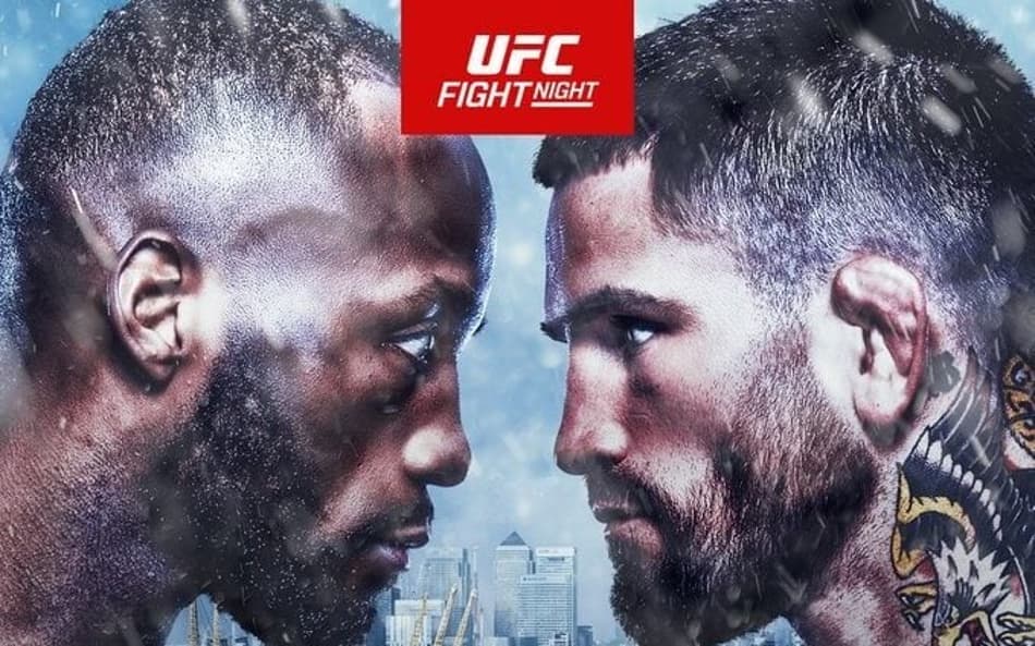 UFC Londres: Conheça os brasileiros confirmados no card