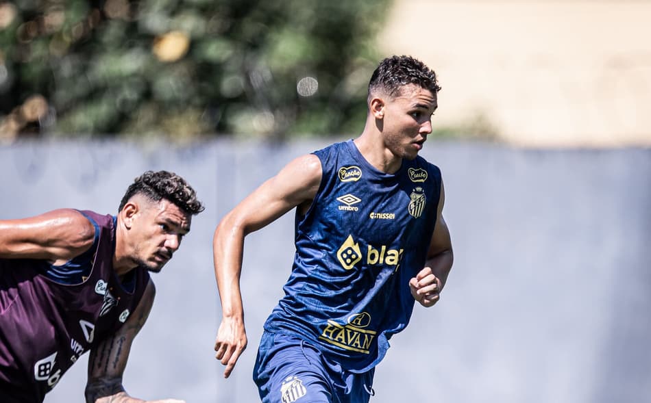 Deivid Washington voltou aos treinos no Santos (Foto: Raul Baretta/ Santos FC)