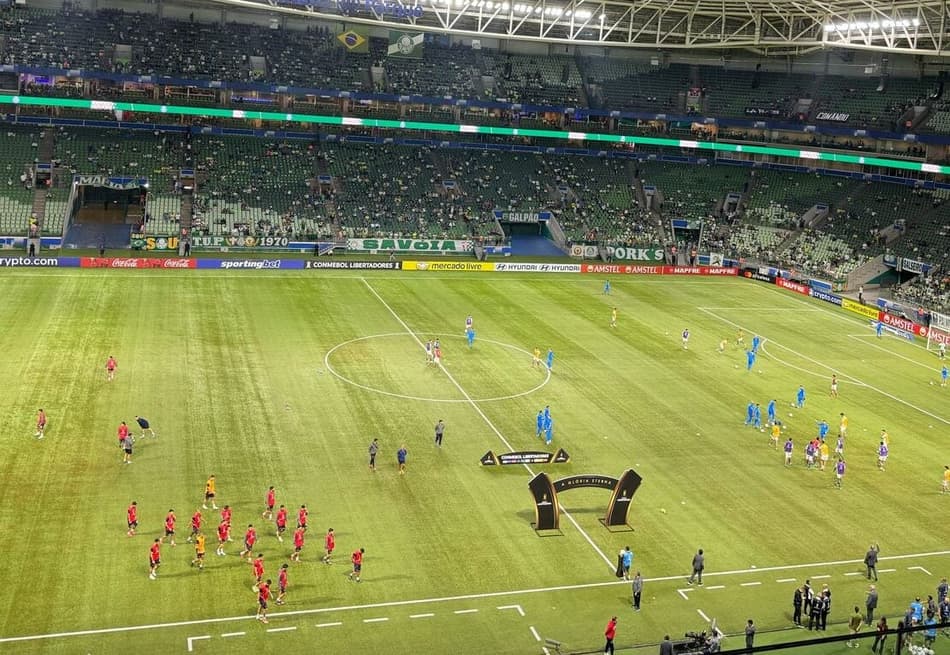 palmeiras-1-aspect-ratio-232-160
