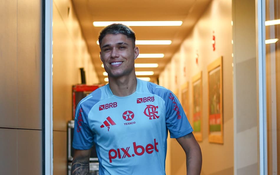 Luiz Araújo conversa com a imprensa (Foto: Divulgação/Flamengo)