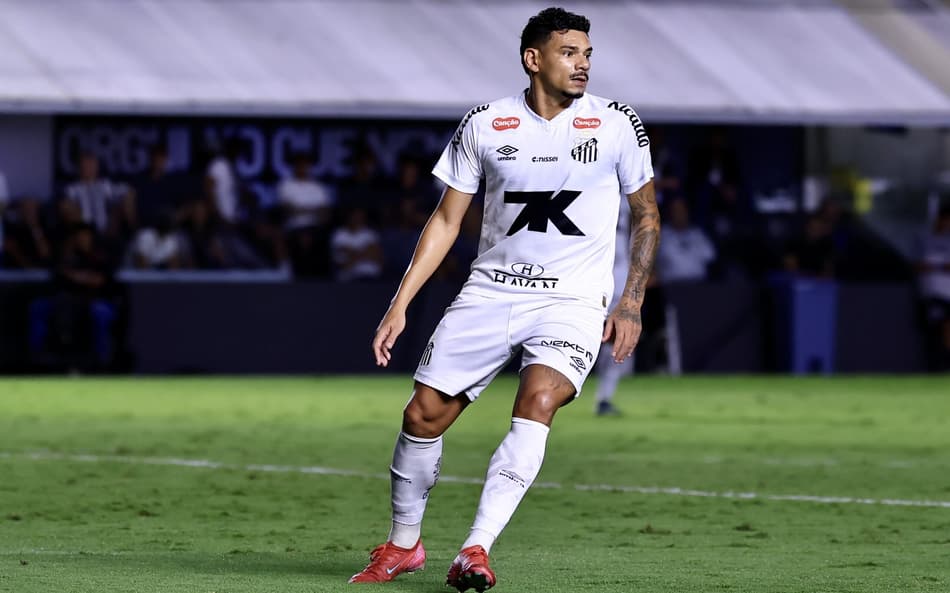Tiquinho Soares, do Santos
