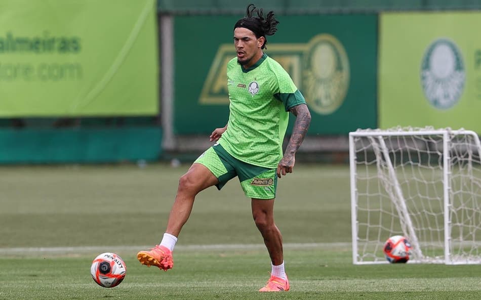 gustavo gomez